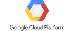 our partner google cloud platform